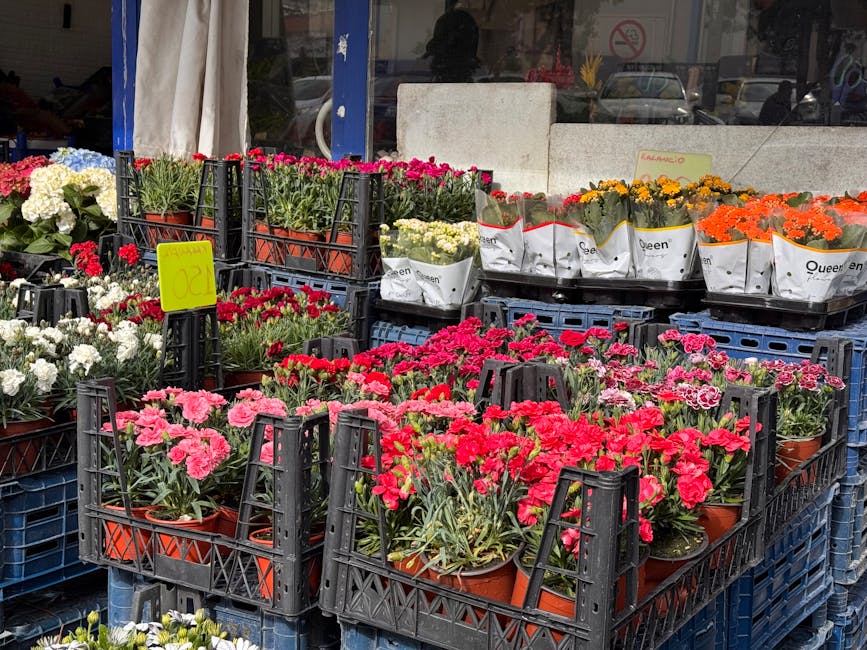 A display of various potted flowering plants arranged in black plastic crates outside a flower shop, featuring pink, white, red, orange, and yellow blooms with lush green foliage. The plants are place